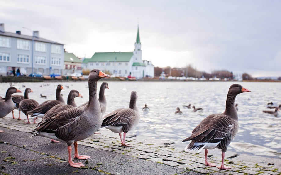 lago di Tjornin in Reykjavik